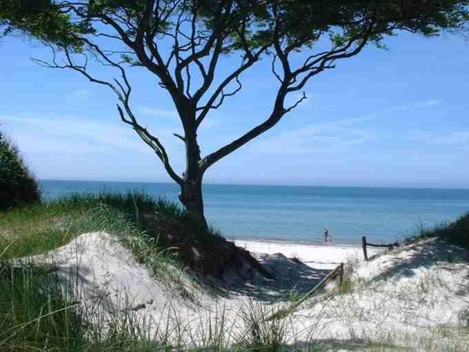Ferienwohnung Suen Zingst Ngoại thất bức ảnh